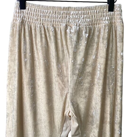 We Are HAH 1 Track Mind Crushed Velvet Jogger Pant in Almond Milk Slouchy - Picture 8 of 16